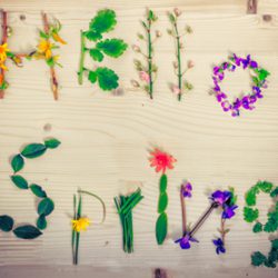 Hello Spring