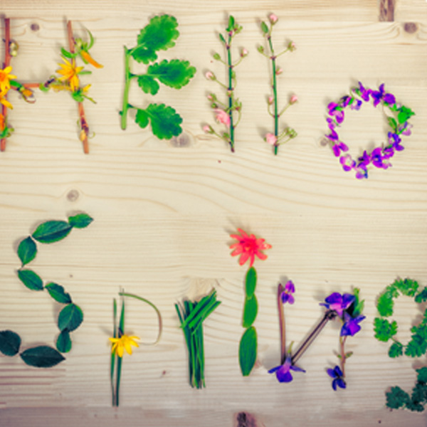 Hello Spring
