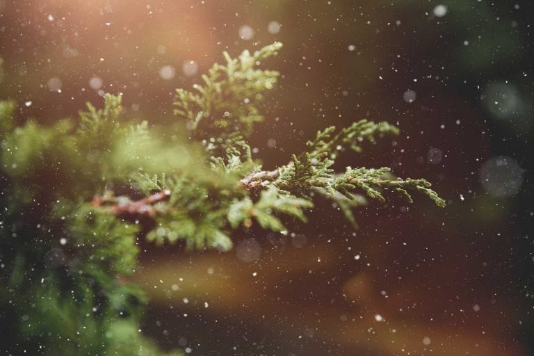 A Healthy Transition Into Winter